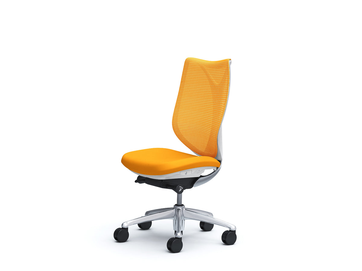 C833BW-FSZ8