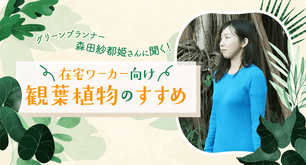 グリーンプランナー・森田紗都姫さんに聞く！　在宅ワーカー向け観葉植物のすすめ
