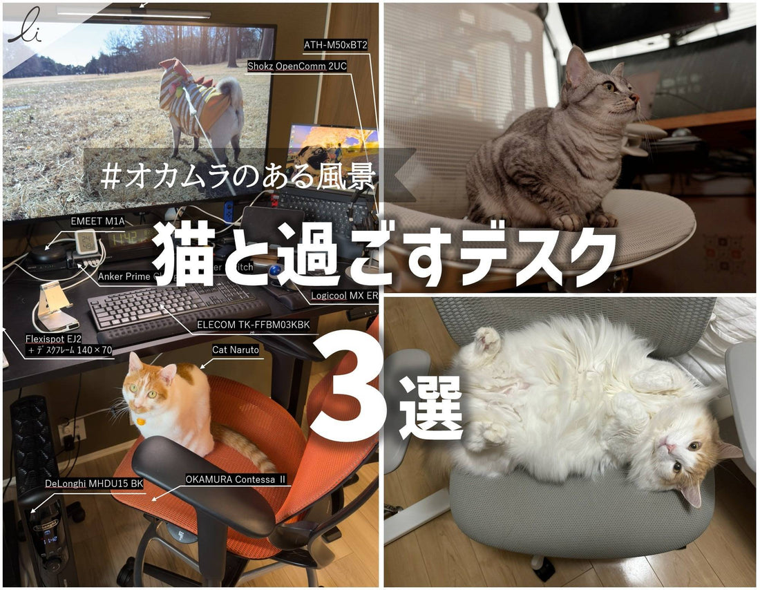 心地良い椅子を、猫は知っている。猫と過ごすデスク3選