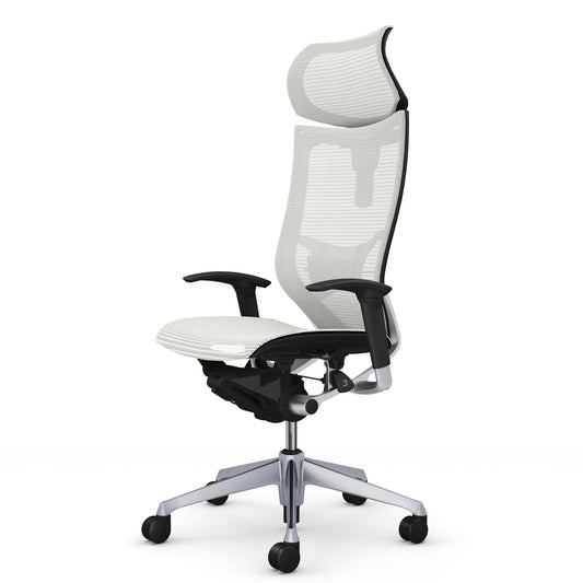 CP81CS-FPG2