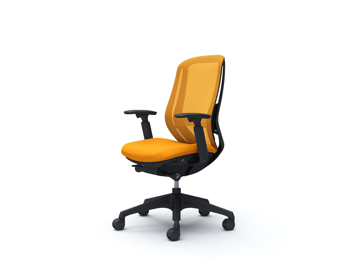 C685XS-FMR8