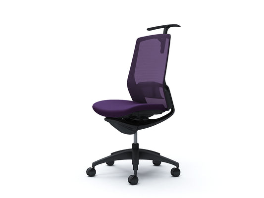 C738MS-F1G0