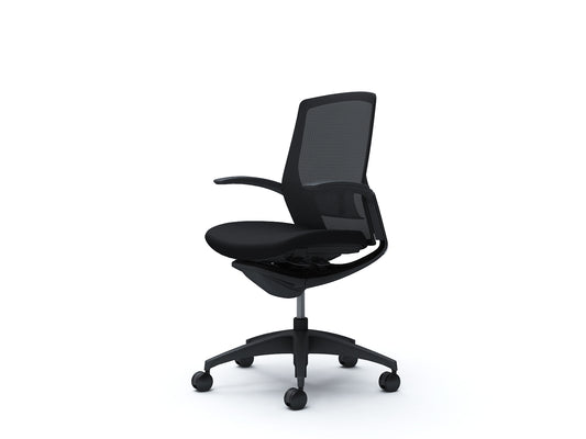 C743MS-F1G1