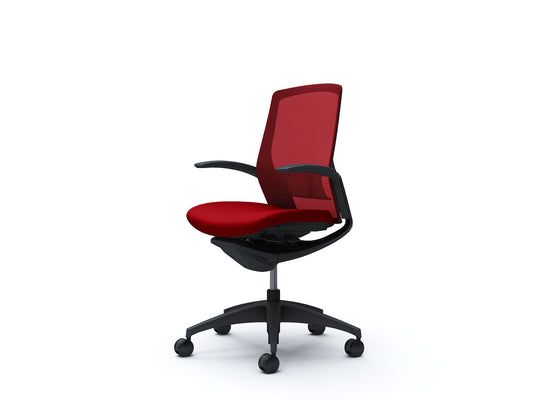 C743MS-F1G9