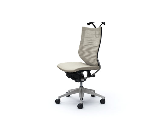 CP36DR-FGR2